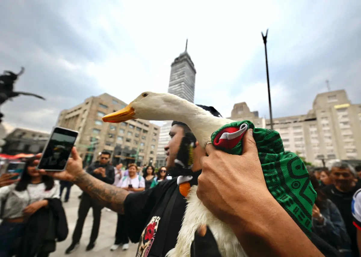 Pato Merlin El pato que vendía aguas en Reforma y hoy hasta las marcas se pelean por él