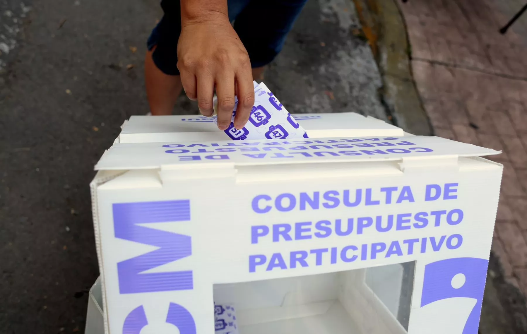 consulta presupuesto participativo 2025.jpeg