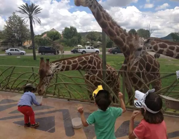 Los hijos de los actores tienen una excelente relación.