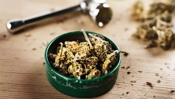 Lid of cannabis with pipe