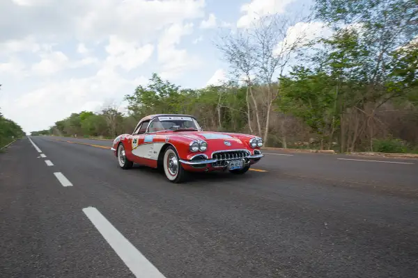 Rally Maya
