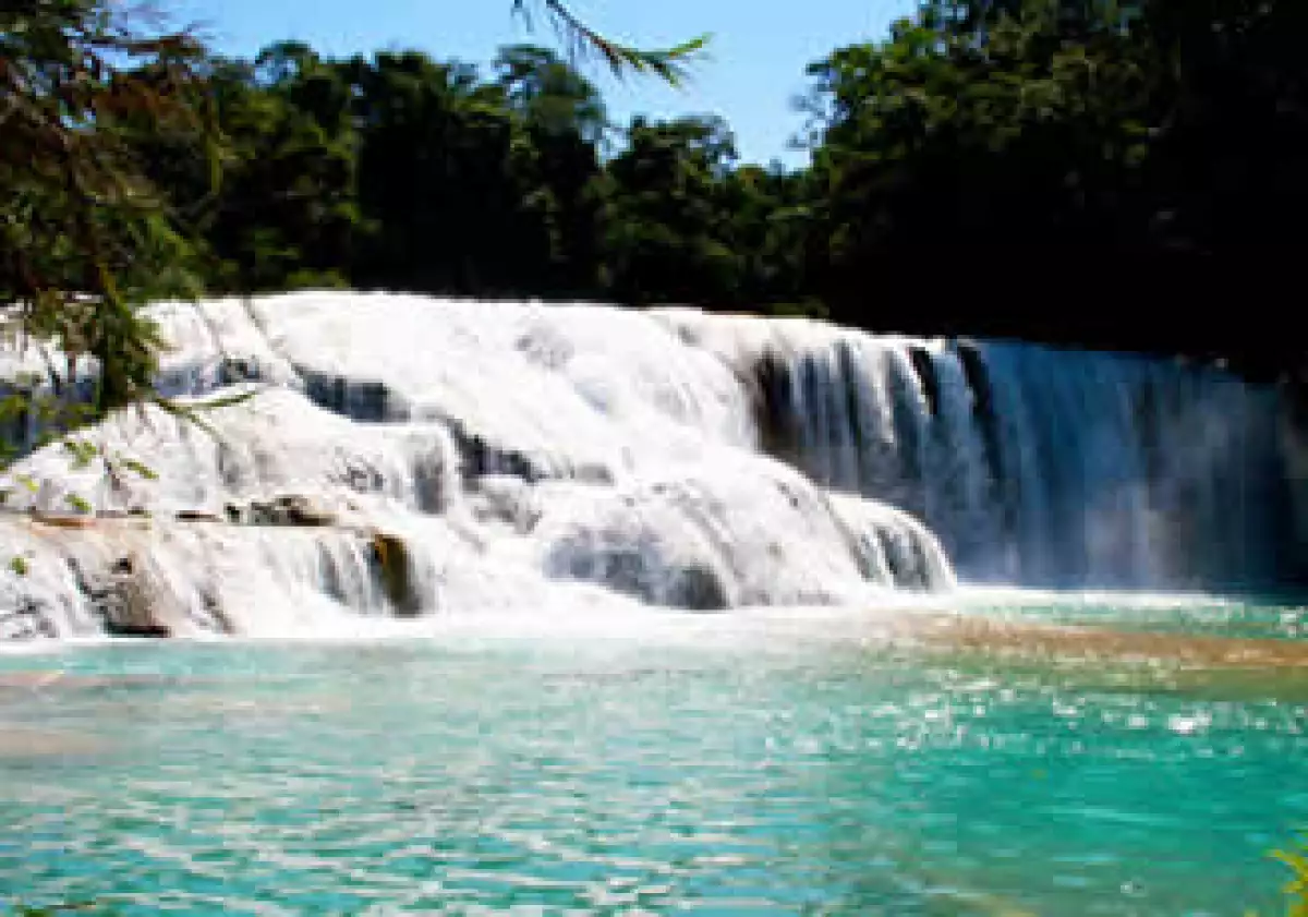 México debe apostar por proteger sus recursos a la vez que incentiva el turismo, afirma Barber Kuri. (Foto: Cortesía SXC)