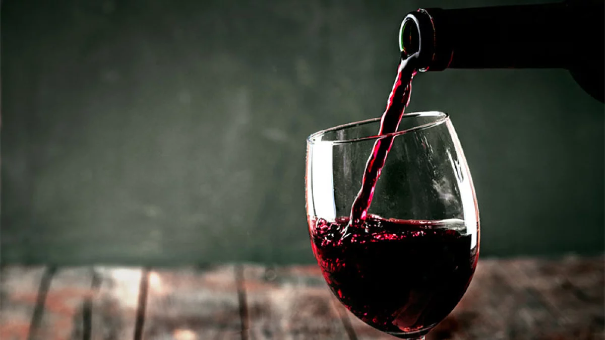 Vino
