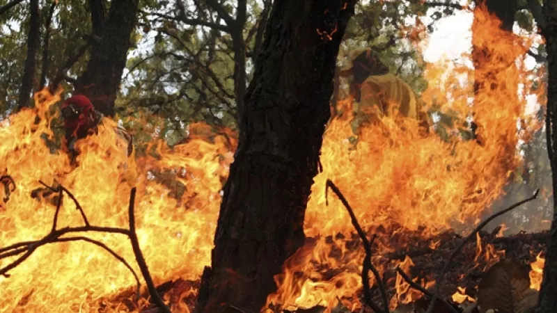 incendios_forestales