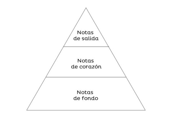 "Las notas son una pirámide: tienes las notas de salida, las notas de corazón y las notas de fondo."