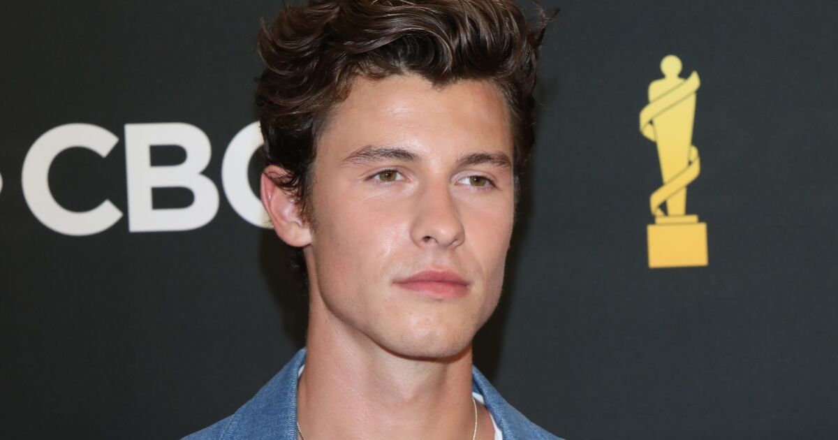 Shawn Mendes receives psychological help after suspending his next concerts