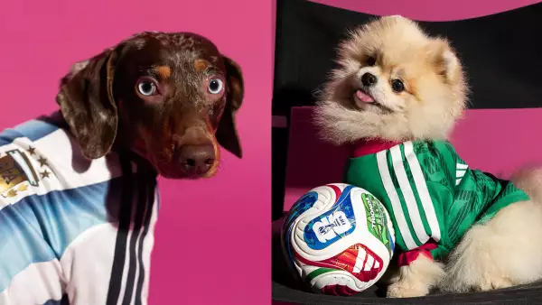 Adidas-coleccion-perritos.jpg