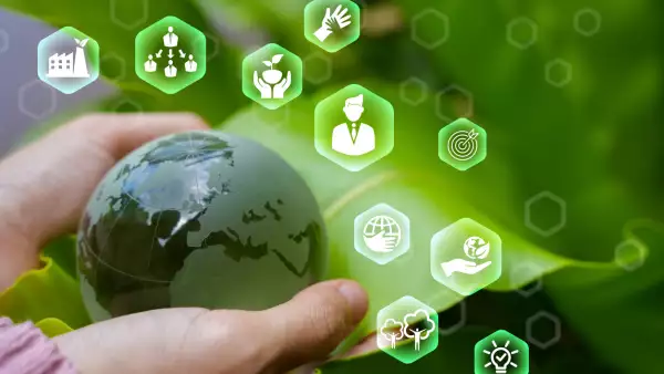 Estos son los principales acuerdos e iniciativas ESG que se lograron en 2024 