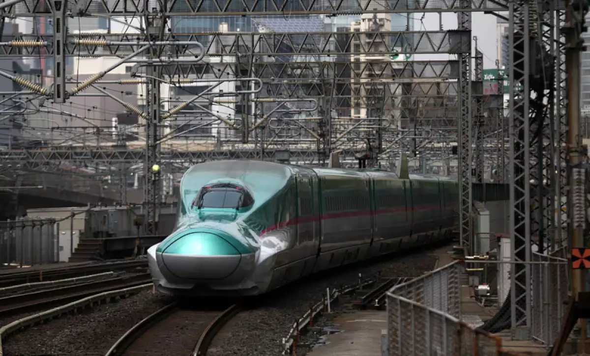 Tren Elevado