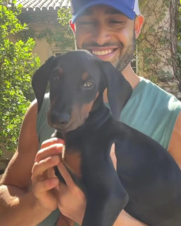 Sam Asghari