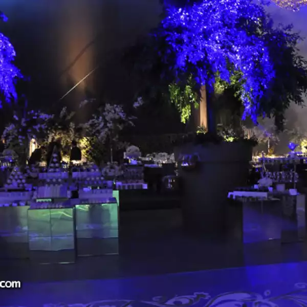 Boda de María Fernanda y Samuel