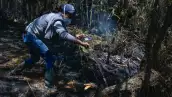 incendios-forestales-colombia.jpg