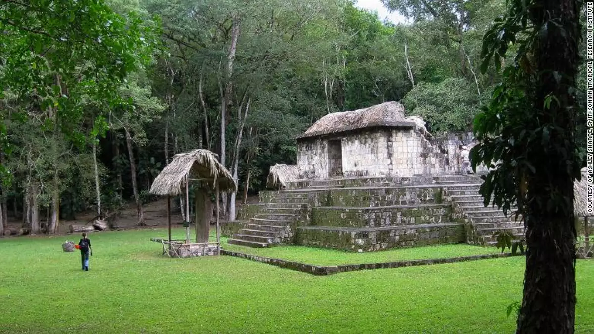 Ubicación