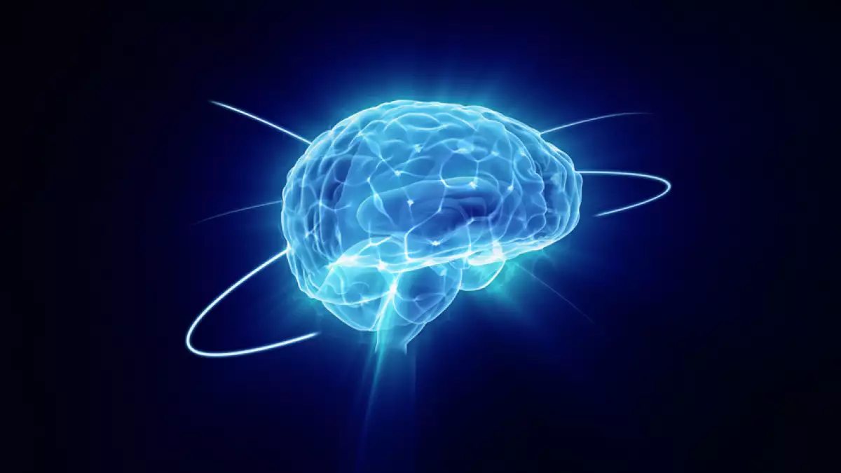 Tu cerebro