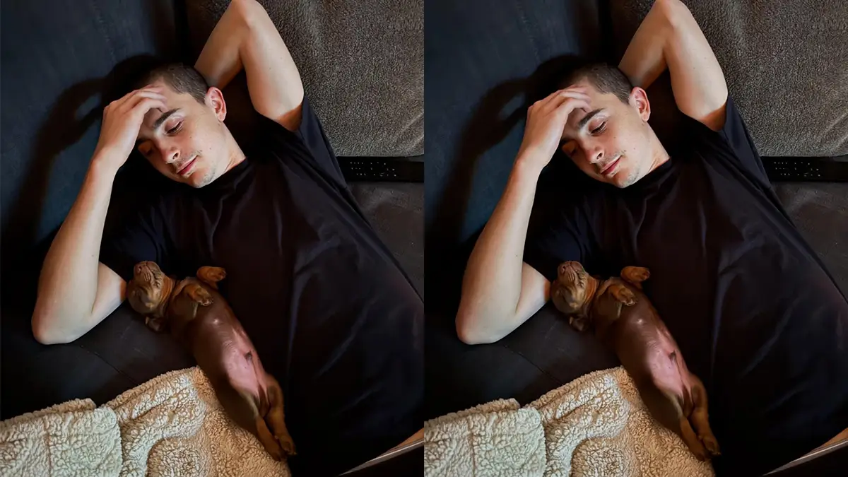 timothee-chalamet-perro
