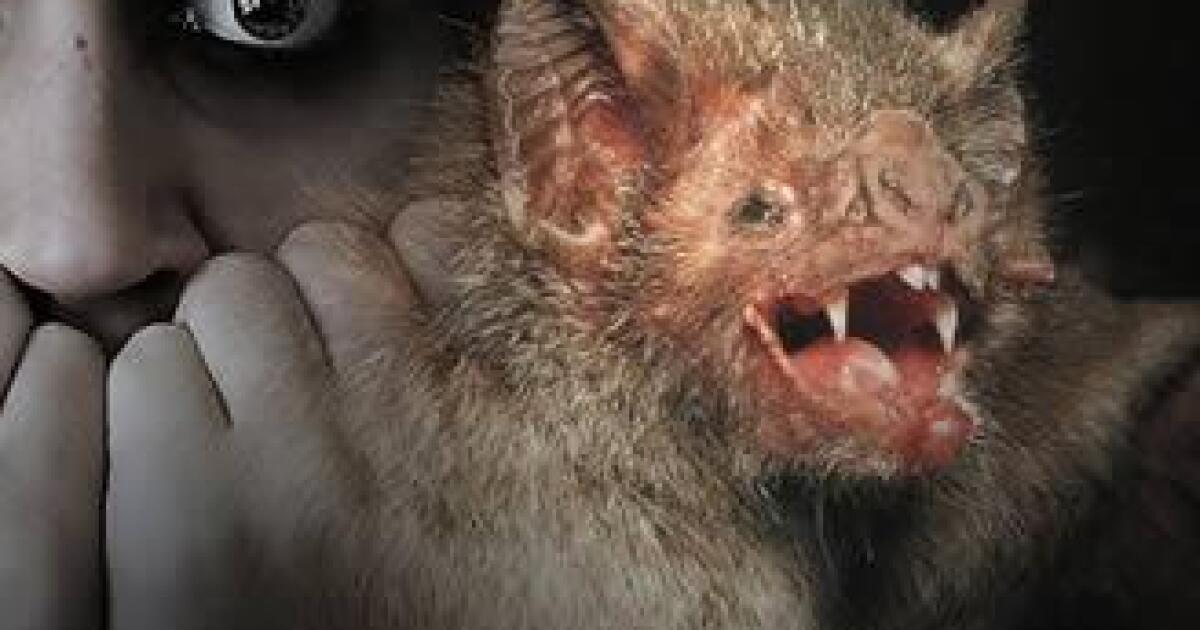 El Miedo Es Cuestion De Genetica