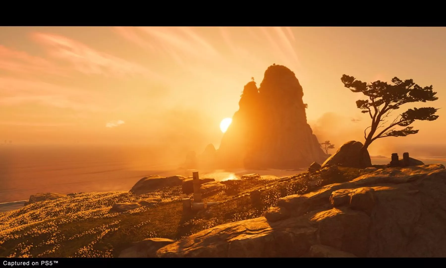 reseña Ghost of Tsushima director's Cut (captura de pantalla del juego)