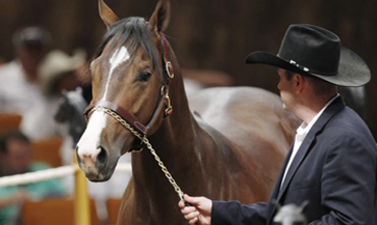 Junto con José Treviño Morales, fueron acusados también los entrenadores de los caballos. (Foto: AP)