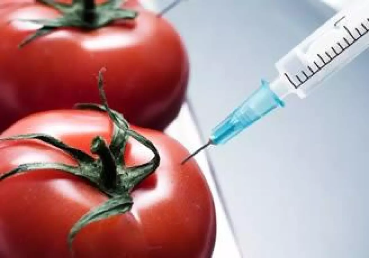 Biotecnolog�a