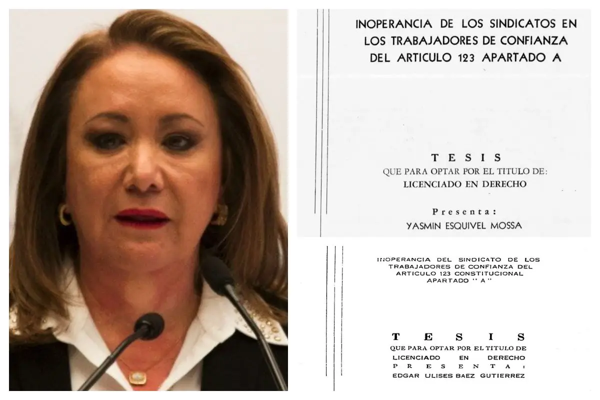 tesis-ministra
