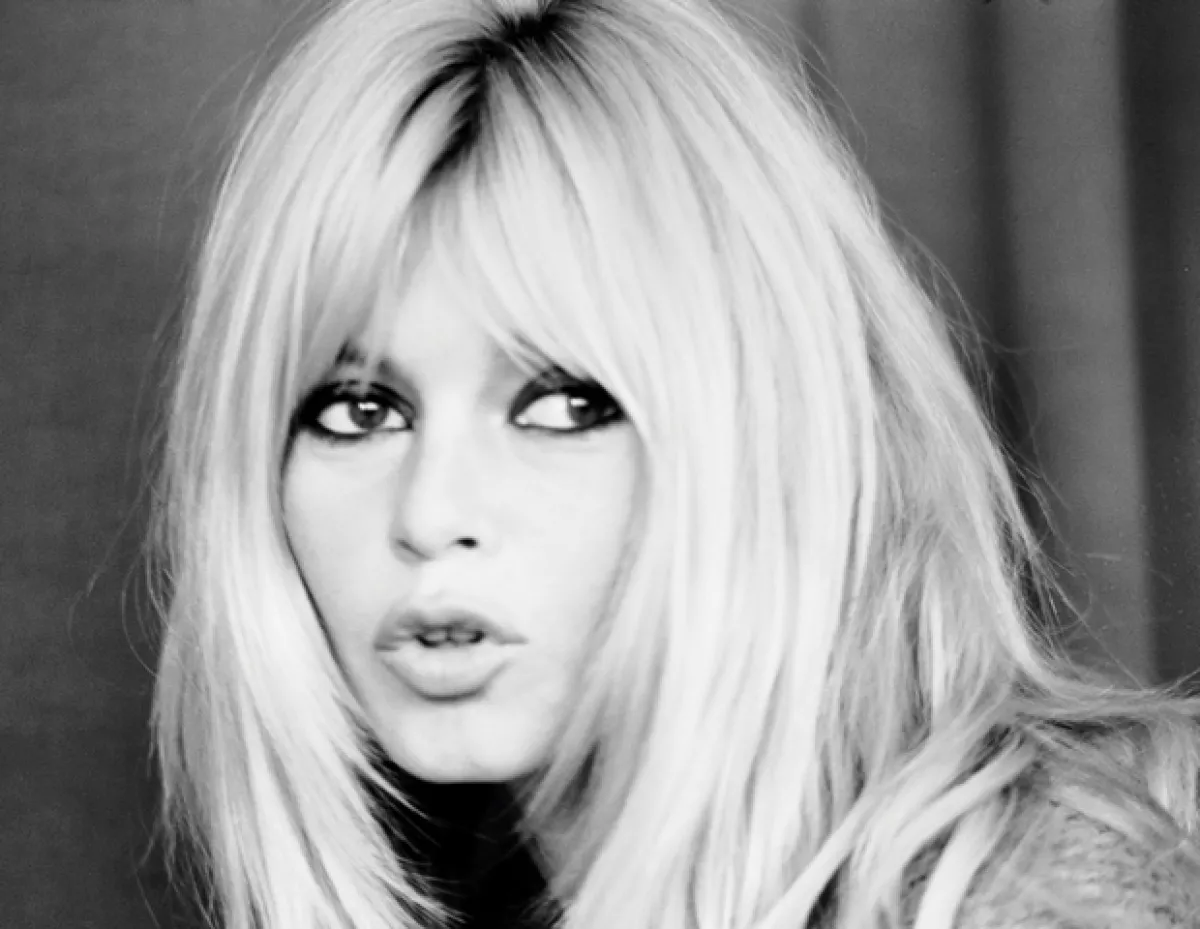 Bardot llega a los 78 años con su participación en 50 filmes y heredando al mundo su frescura, forma de vestir y sus sexys peinados.