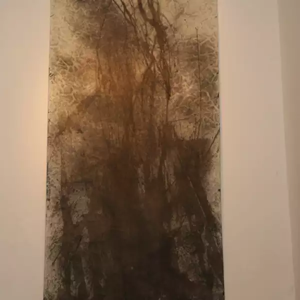 Sin título. José Luiz Viezca