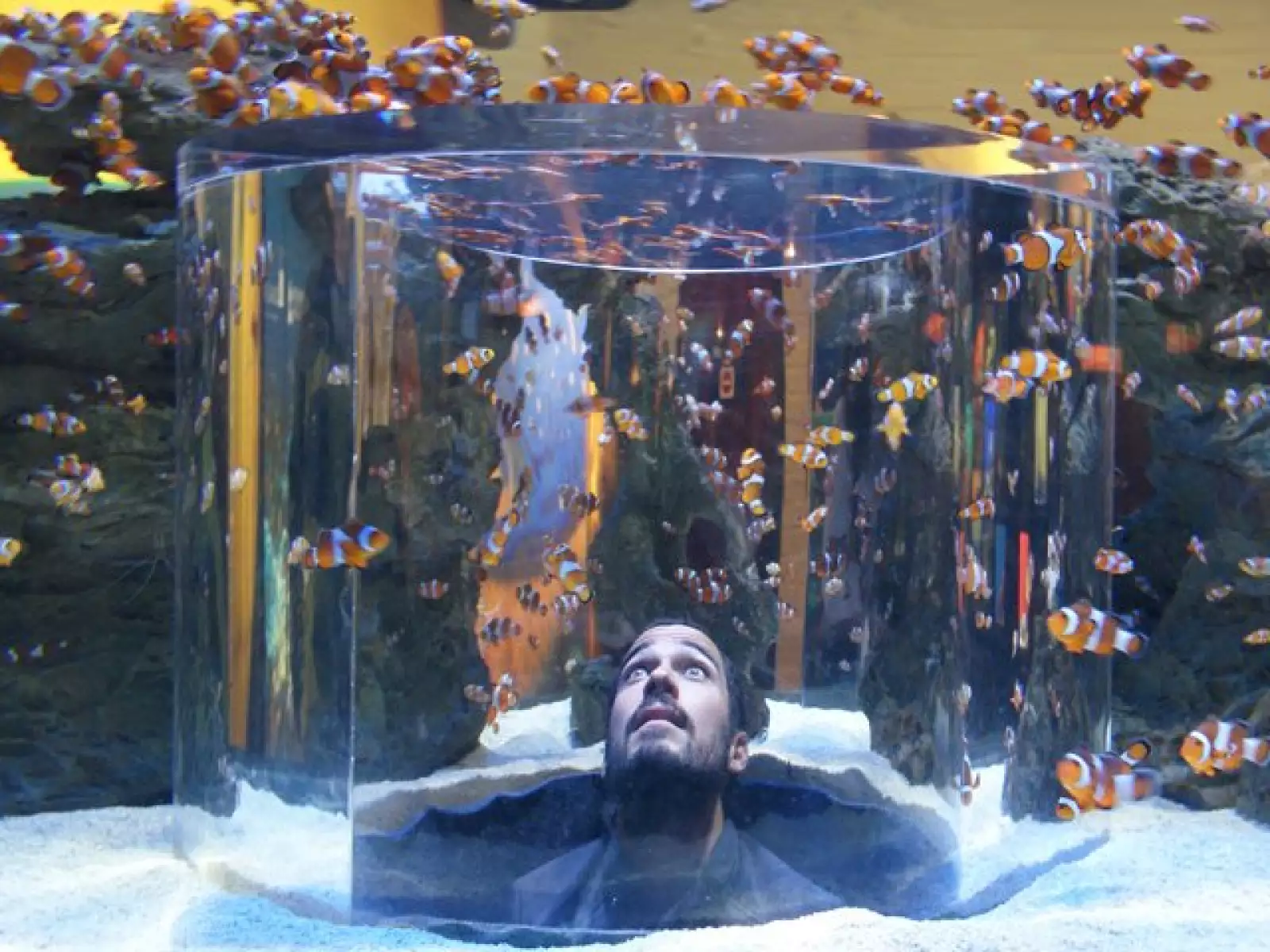 Me recomendaron mucho visitar el acuario `Dos Océanos´, en Cd. del Cabo se unen el Índico y el Atlántico.