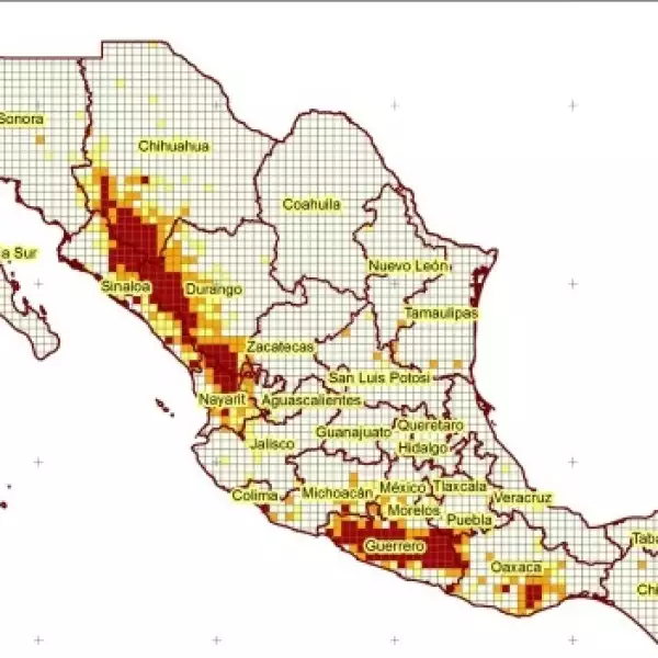 mapa amapola
