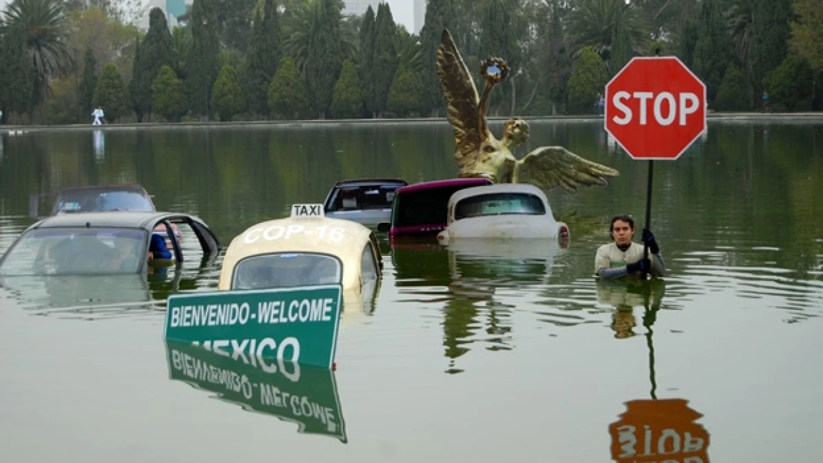 retos greenpeace