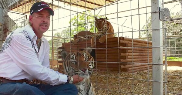 tiger-king-joe-exotic