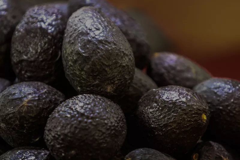 Aguacate se prevee baja el precio