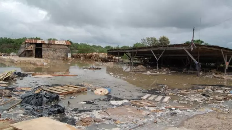 Viviendas en Tamaulipas fueron arrasadas por Alex