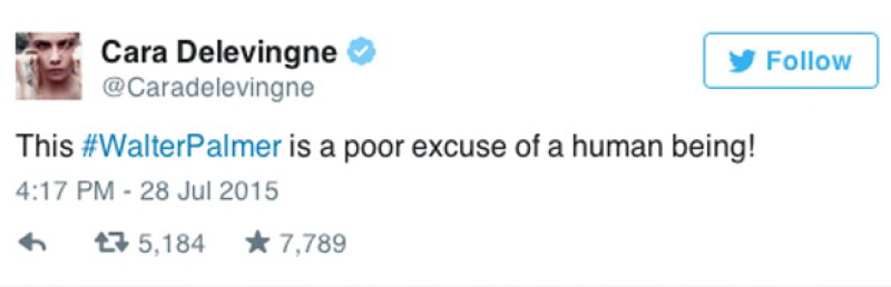 "Este #WalterPalmer es una pobre excusa de ser humano"
