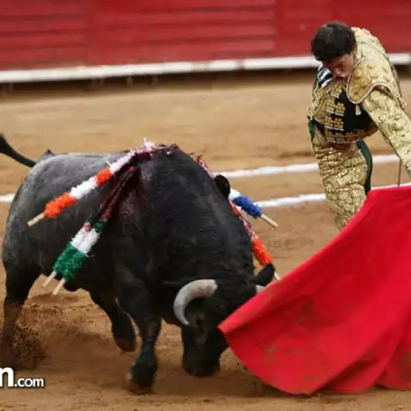 Matador Arturo Saldivar