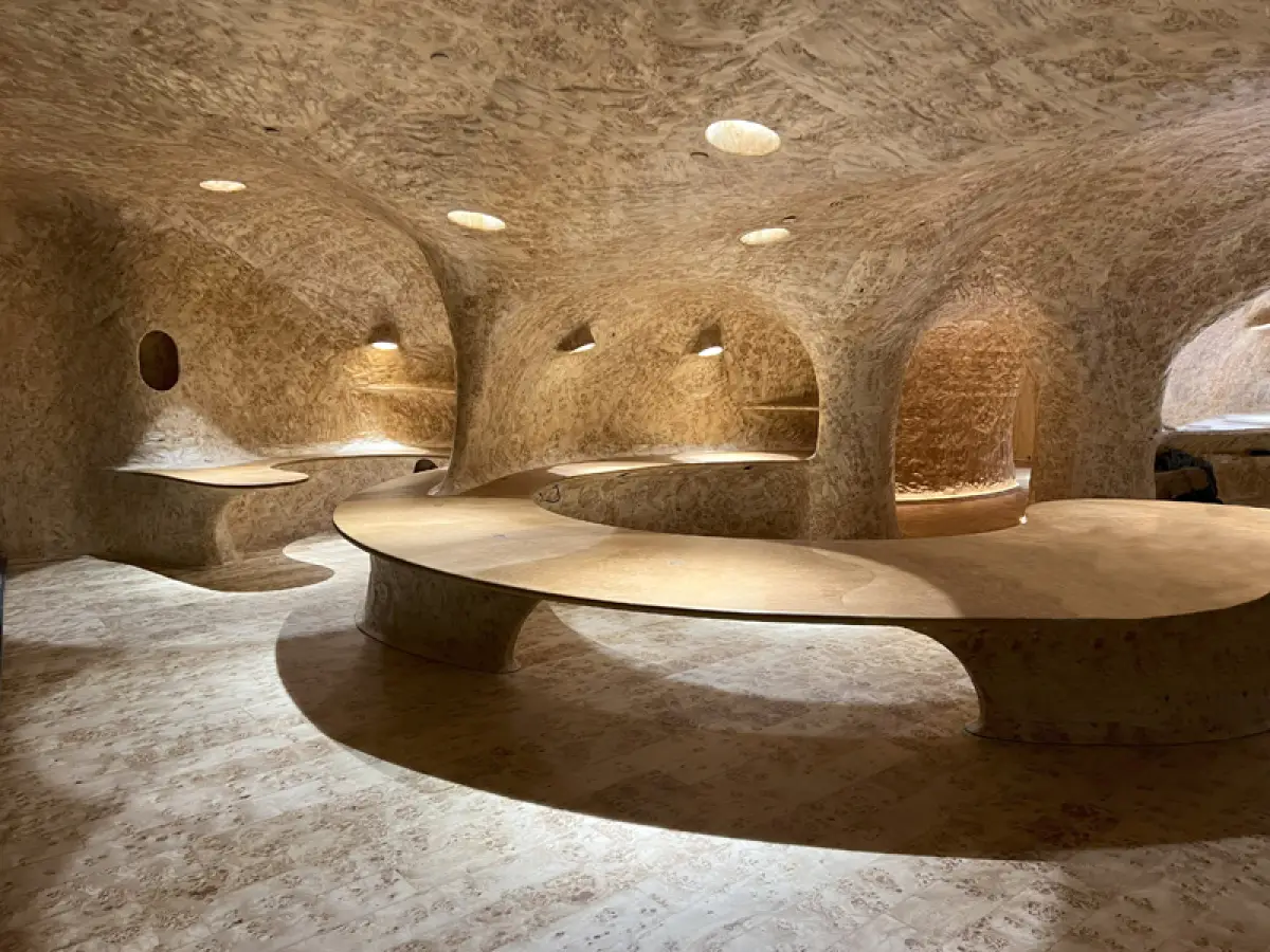 Oficinas-cueva-javier-senosiain