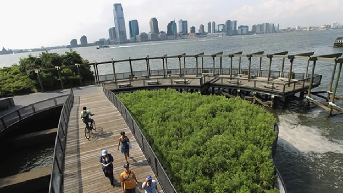 Paseantes de Nueva York