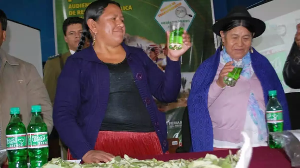 bolivia-coca