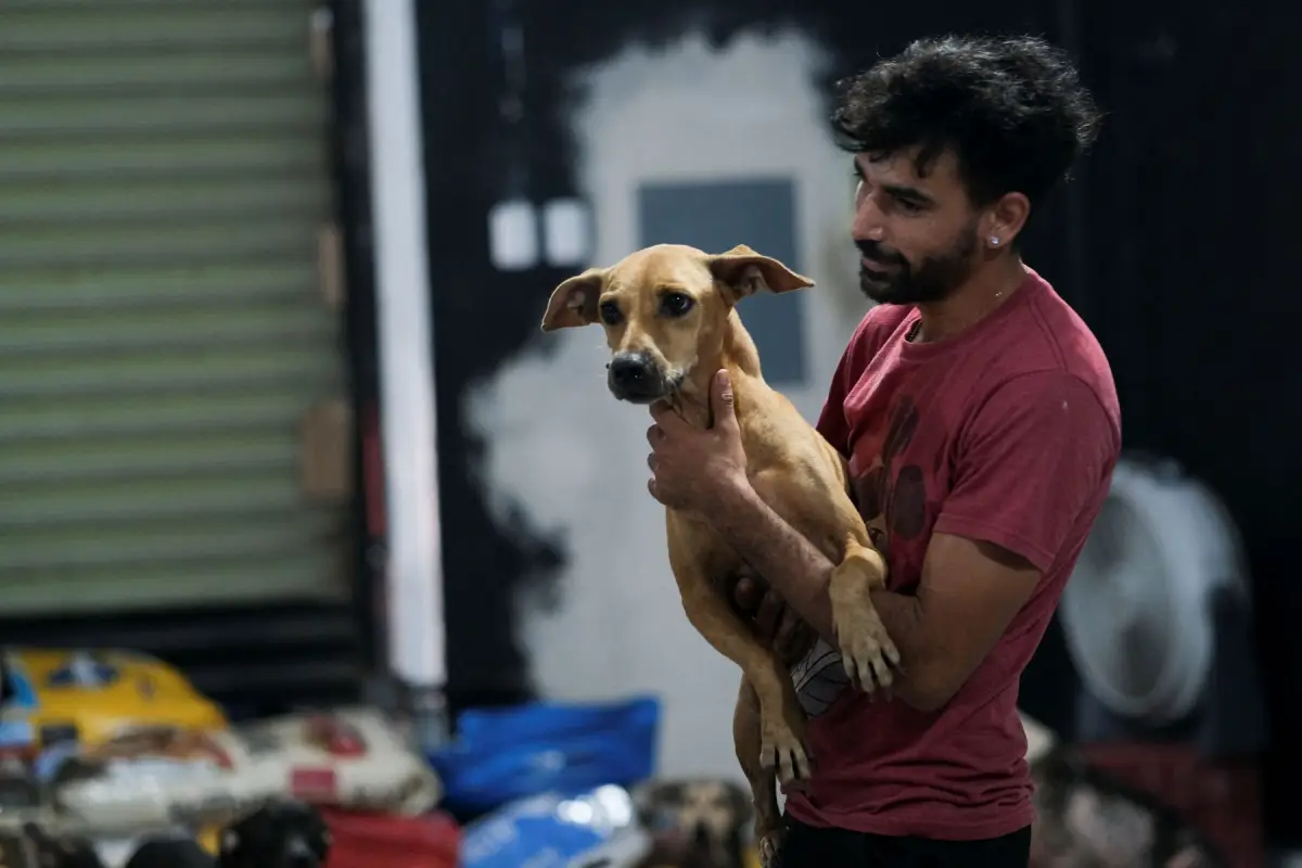 perros-pueden-oler-estres