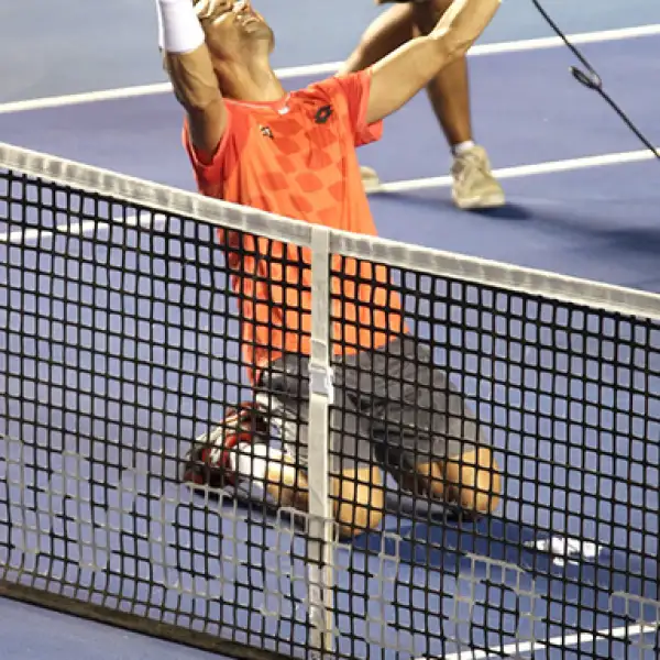 David Ferrer