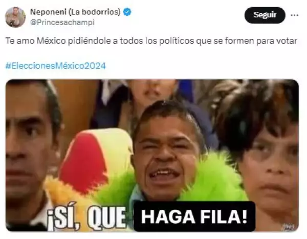 Memes de las elecciones