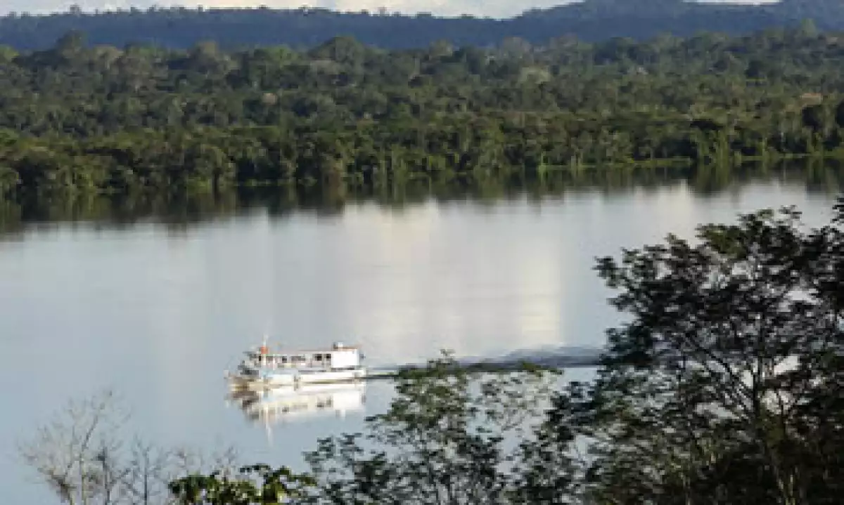 La recolección de imágenes es realizada por Google y la organización ambientalista Fundación Amazonia Sustentable. (Foto: AP)