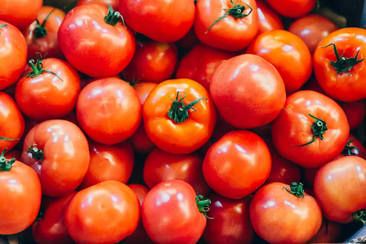 Tomates. 
