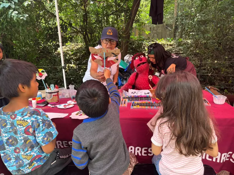 4 cursos de verano en CDMX 2025 que son gratis; estas son las fechas y los requisitos