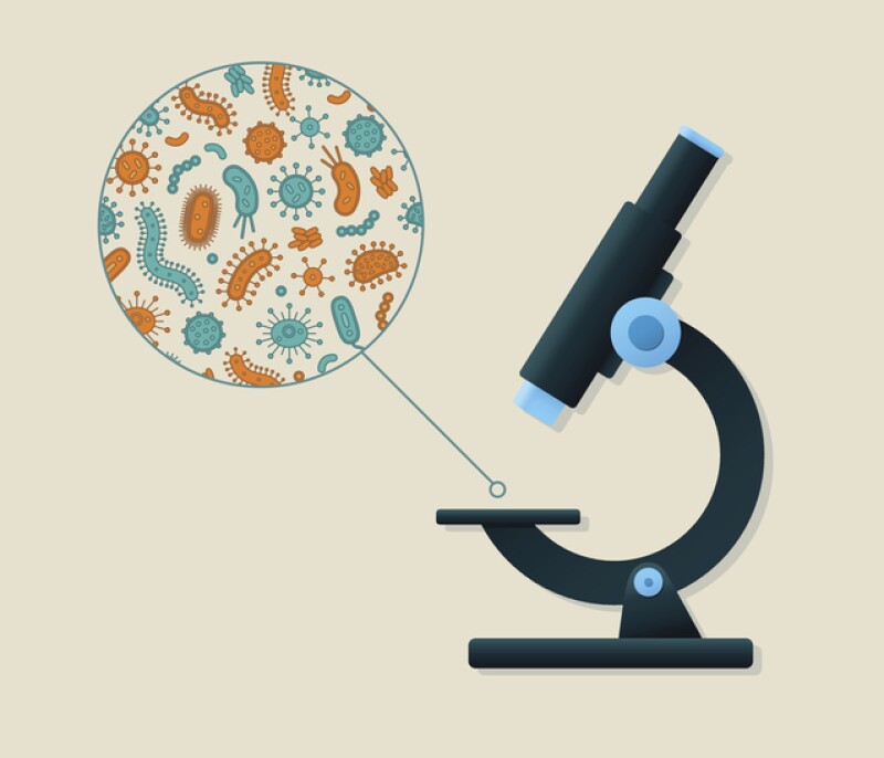 Green and orange germs being viewed by a microscope