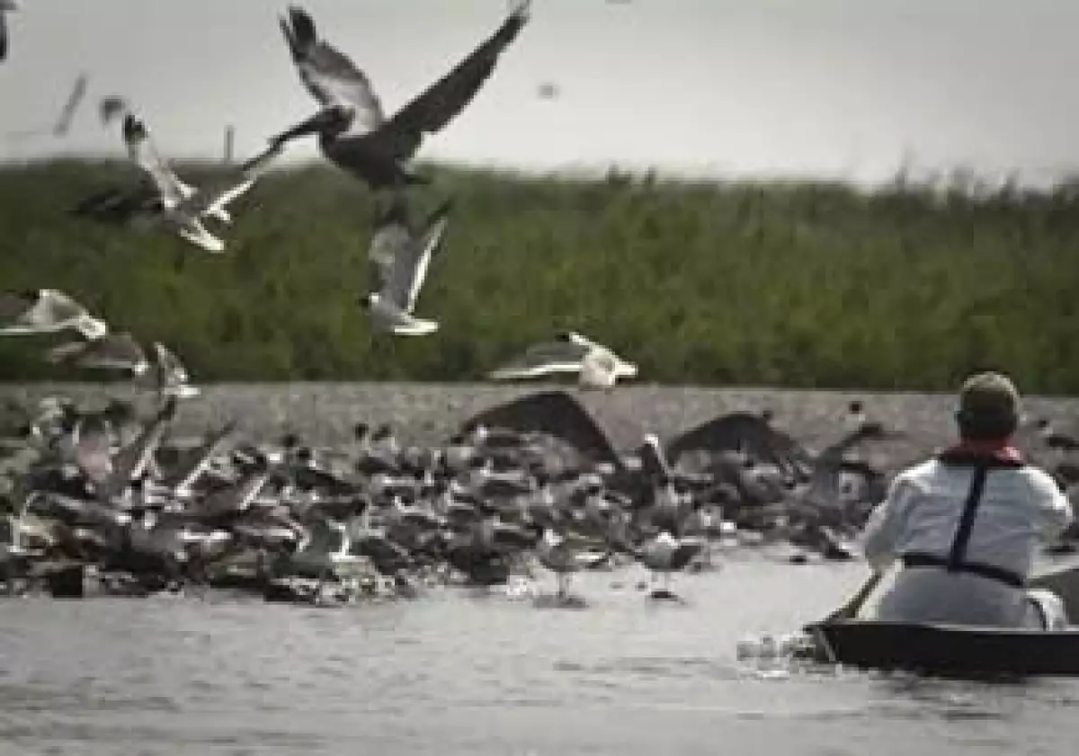 Un pozo de BP estalló en abril, provocando el peor derrame de crudo en Estados Unidos. (Foto: Reuters)