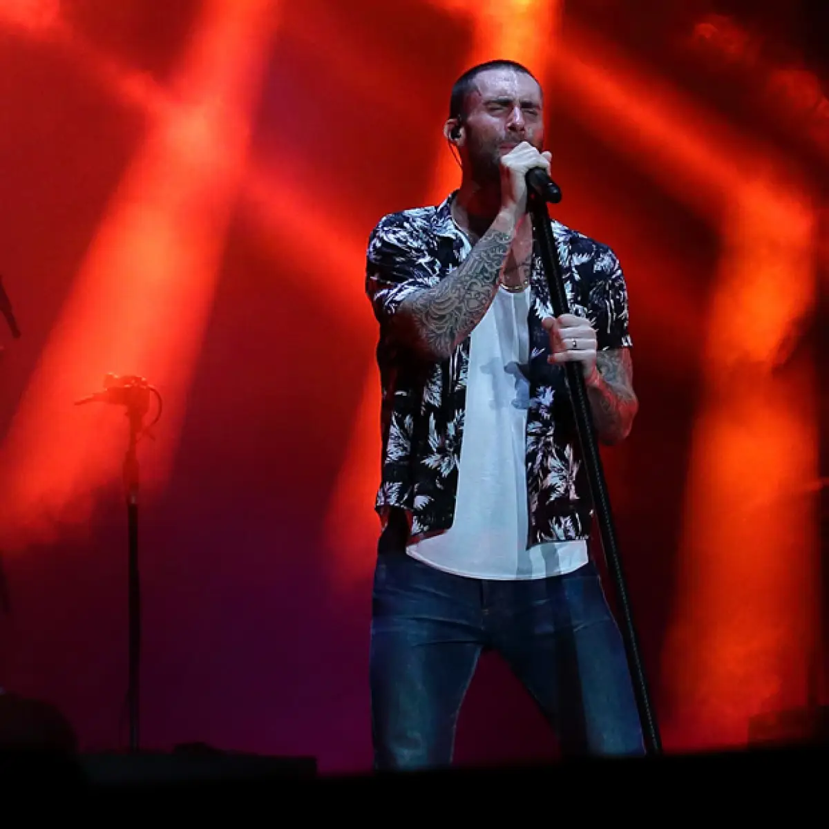 Enrique Iglesias, Maroon 5, Ed Sheeran, Ellie Goulding y OMI fueron los artistas que se coronaron como los grandes favoritos del país en la famosa aplicación.