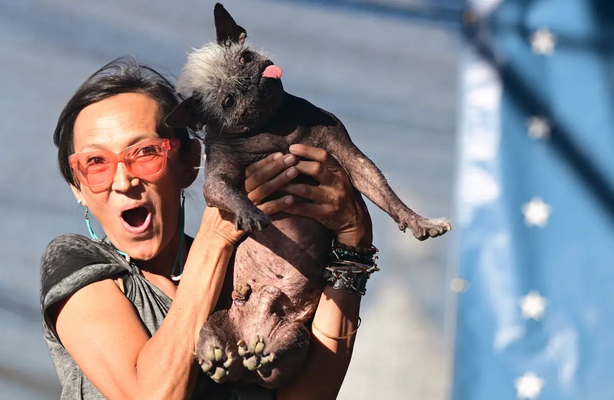 mr-happy-face-perro-mas-feo-del-mundo