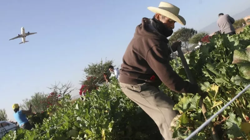 Campesinos oaxaqueños