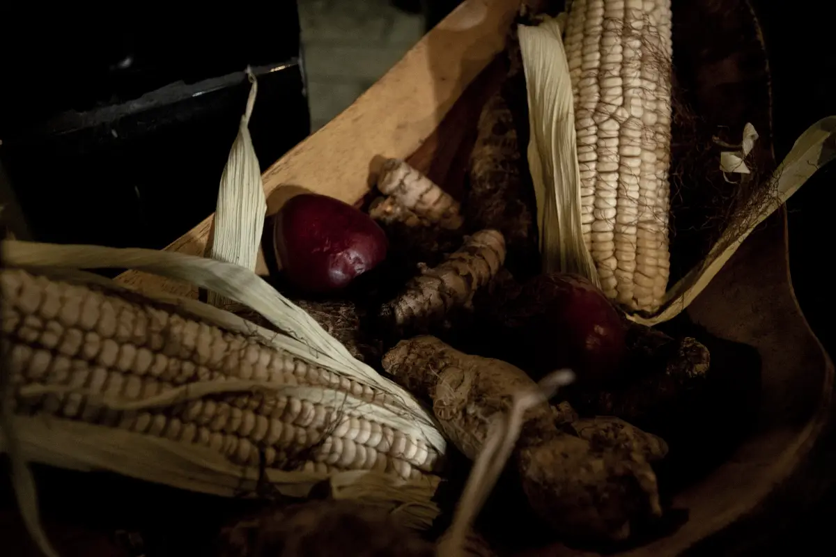 COSTA RICA-FOOD-TRADITIONAL-INDIGENOUS CUISINE-RESTAURANT