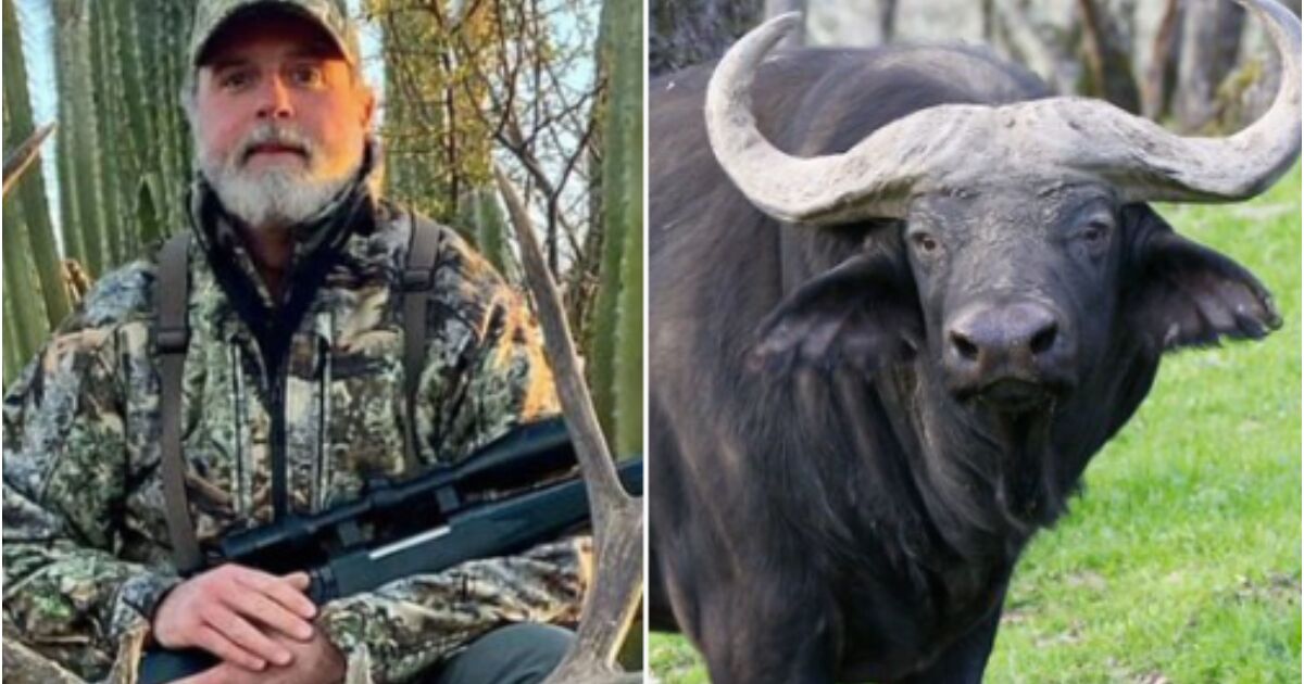 Bir manda tarafından avlanan milyoner avcısı Asher Watkins kimdi?